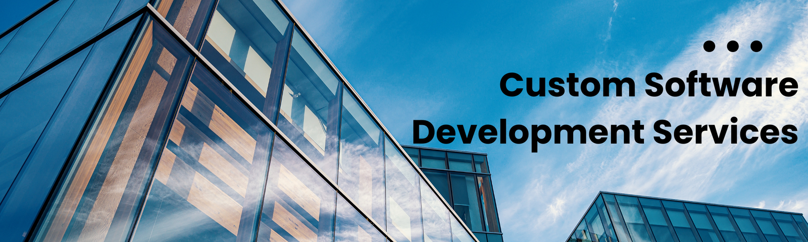 Custom Software Development Services in Pakistan | Complete Business Guide (2026) - blog post by AlphaExperts